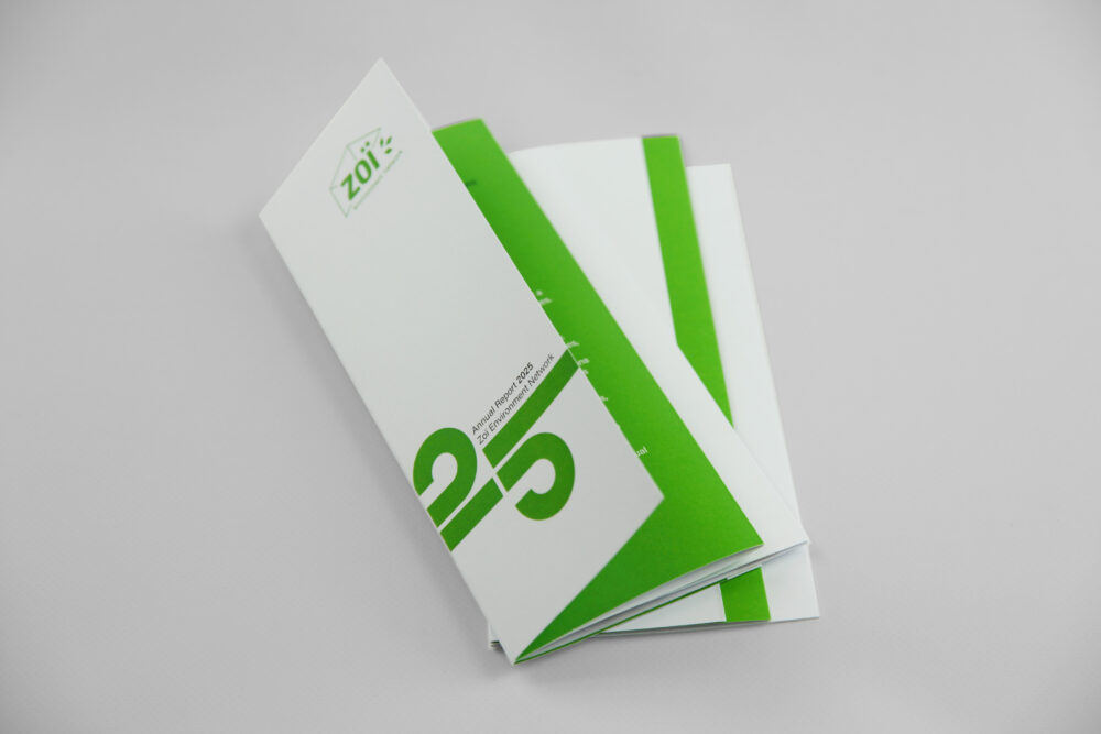 Annual Report 2025