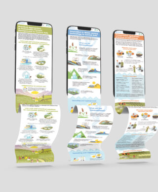 Infographics on best agricultural practices in drylands of Central Asia and Türkiye (CACILM)