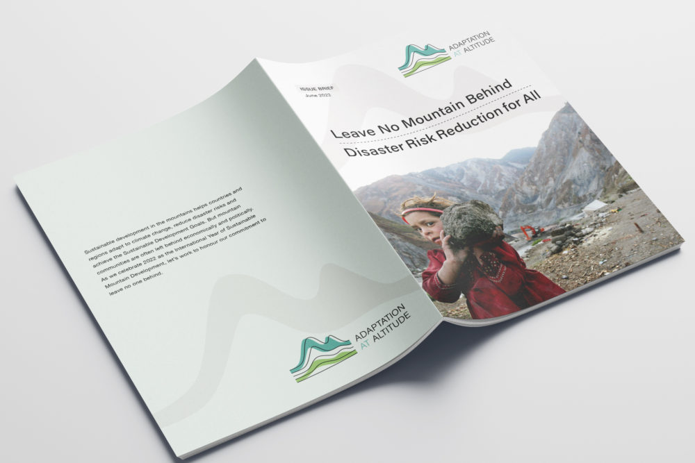 Leave No Mountain Behind: Disaster Risk Reduction for All Issue Brief