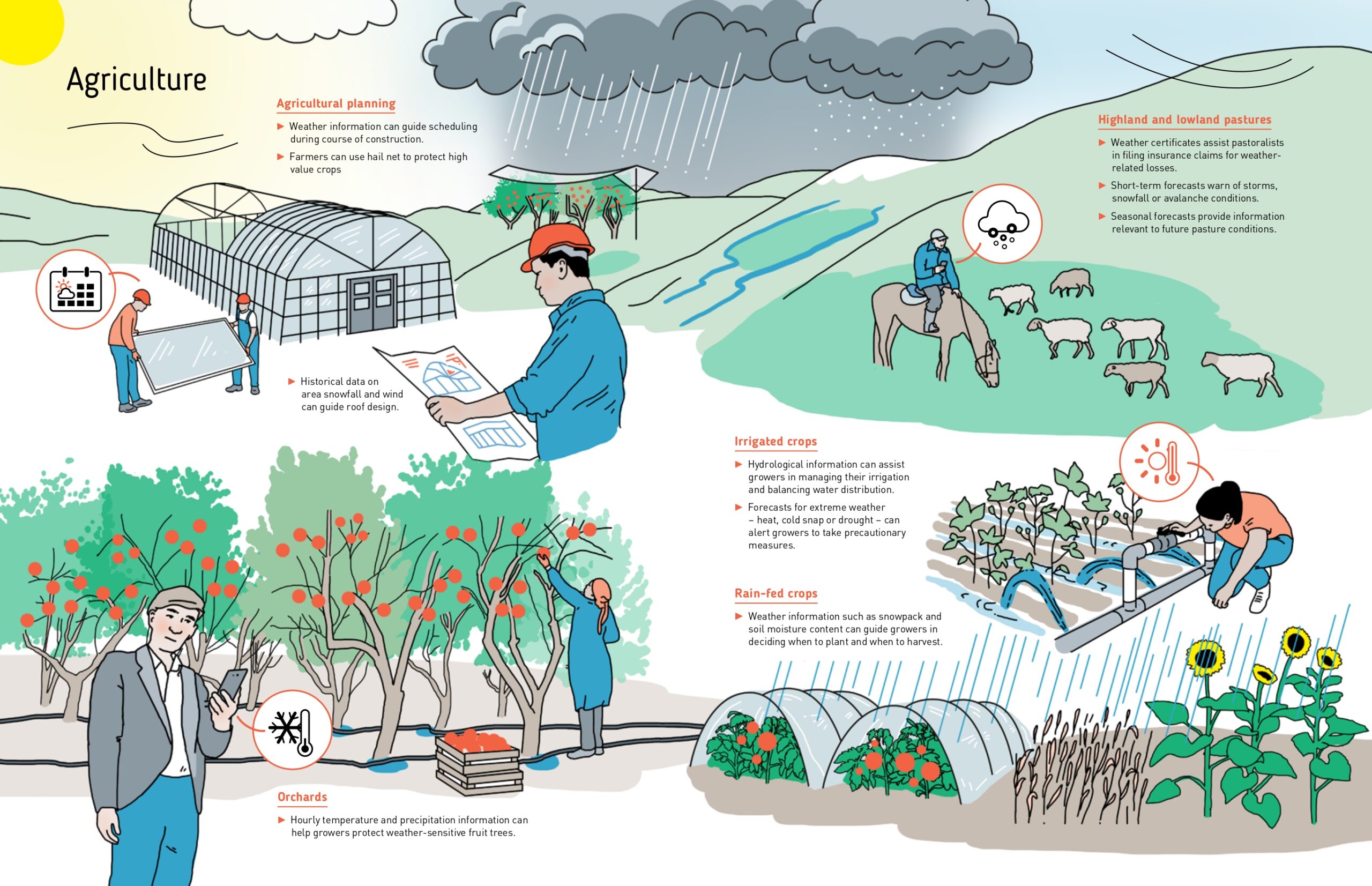 Users of weather, water and climate information