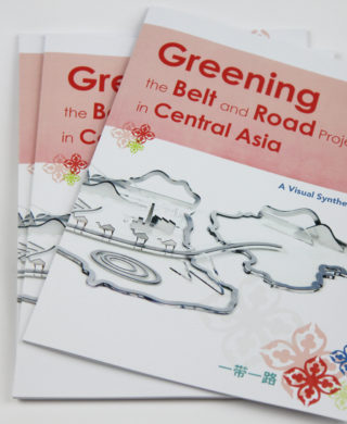 Greening the Belt and Road Projects in Central Asia: A Visual Synthesis