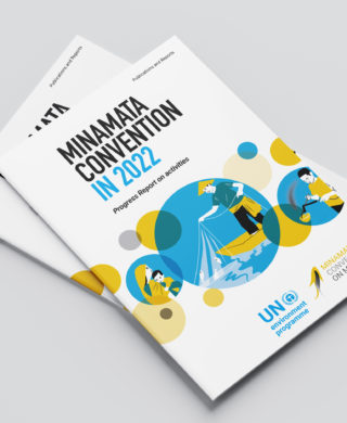 Minamata Convention in 2022: Progress Report on activities