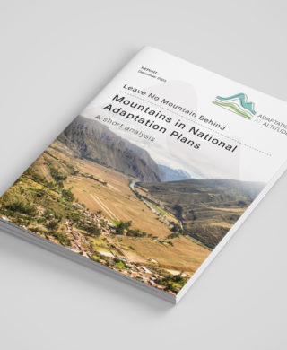 Mountains in National Adaptation Plans – A short analysis