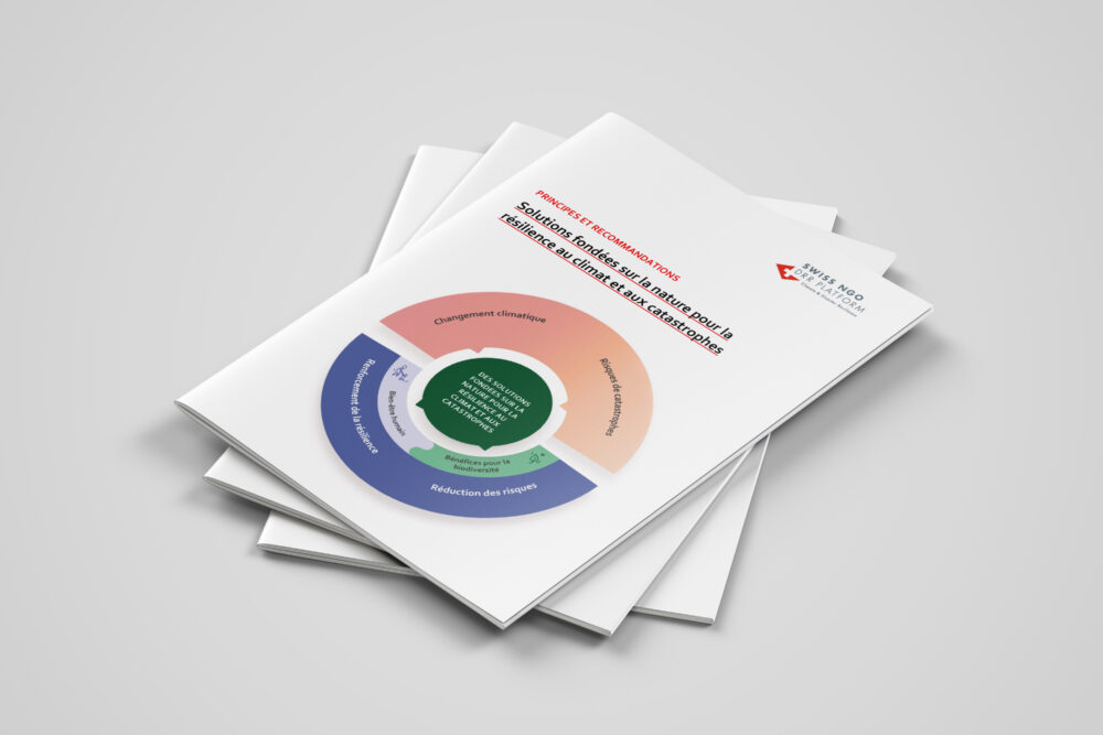 Principles and recommendations – Nature-based solutions for climate and disaster resilience