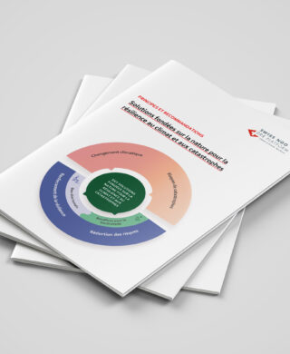 Principles and recommendations – Nature-based solutions for climate and disaster resilience