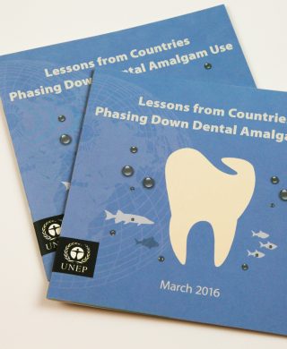 Lessons from Countries Phasing Down Dental Amalgam Use
