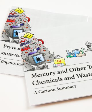 Mercury and other Toxic Chemicals and Waste: A Cartoon Summary