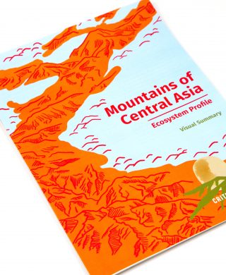 Mountains of Central Asia: Ecosystem profile