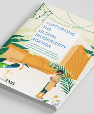 Supporting the Global Biodiversity Agenda: A United Nations System Commitment for Action to assist Member States delivering on the post-2020 global biodiversity framework