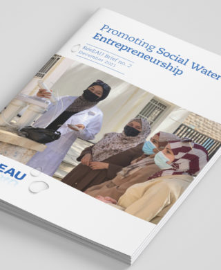 Promoting Social Water Entrepreneurship in Swiss development cooperation
