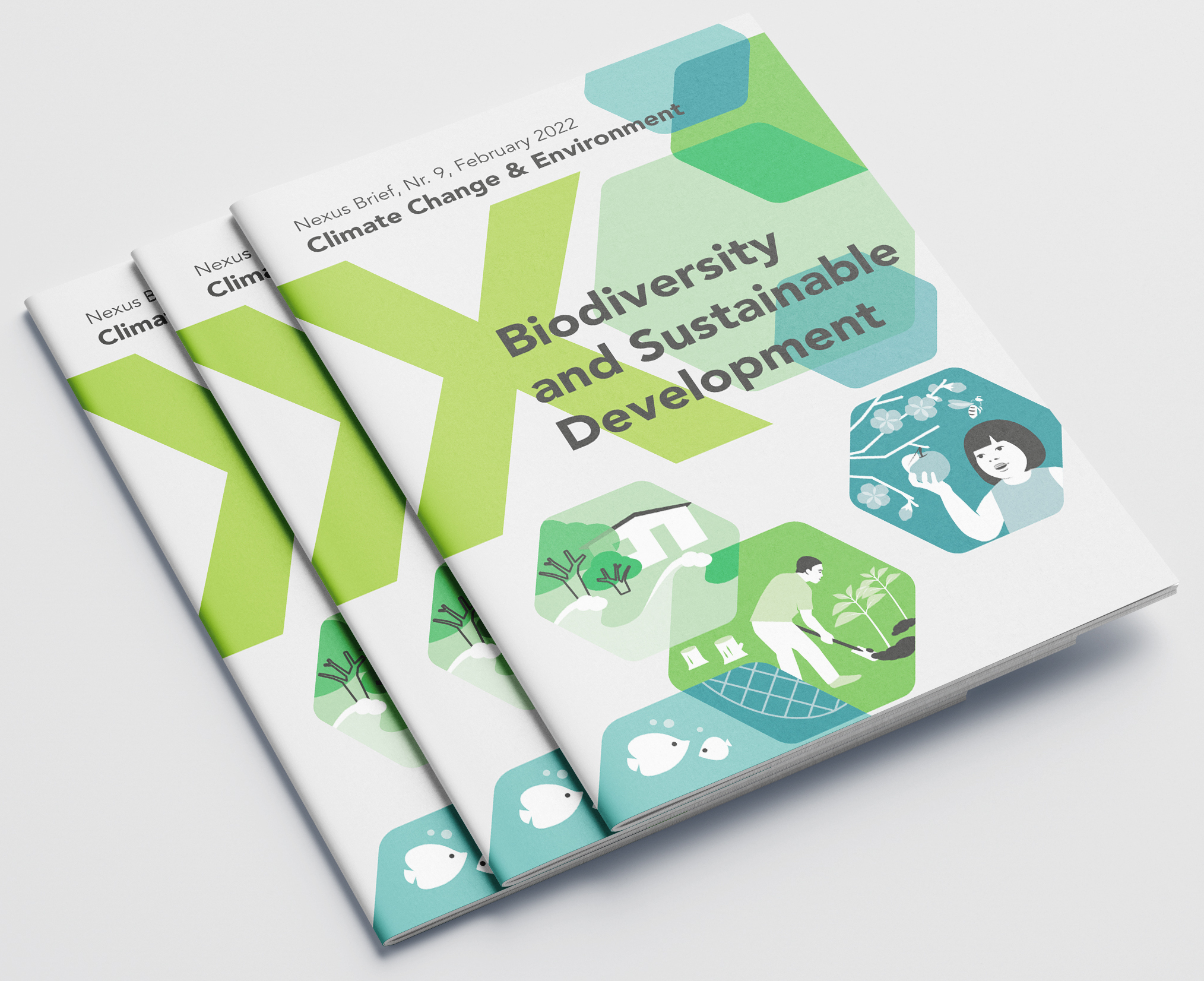 Nexus Brief: Biodiversity and Sustainable Development | Zoï Environment ...