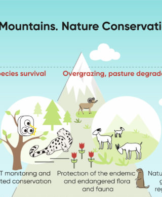 Posters on climate adaptation and biodiversity conservation in mountains