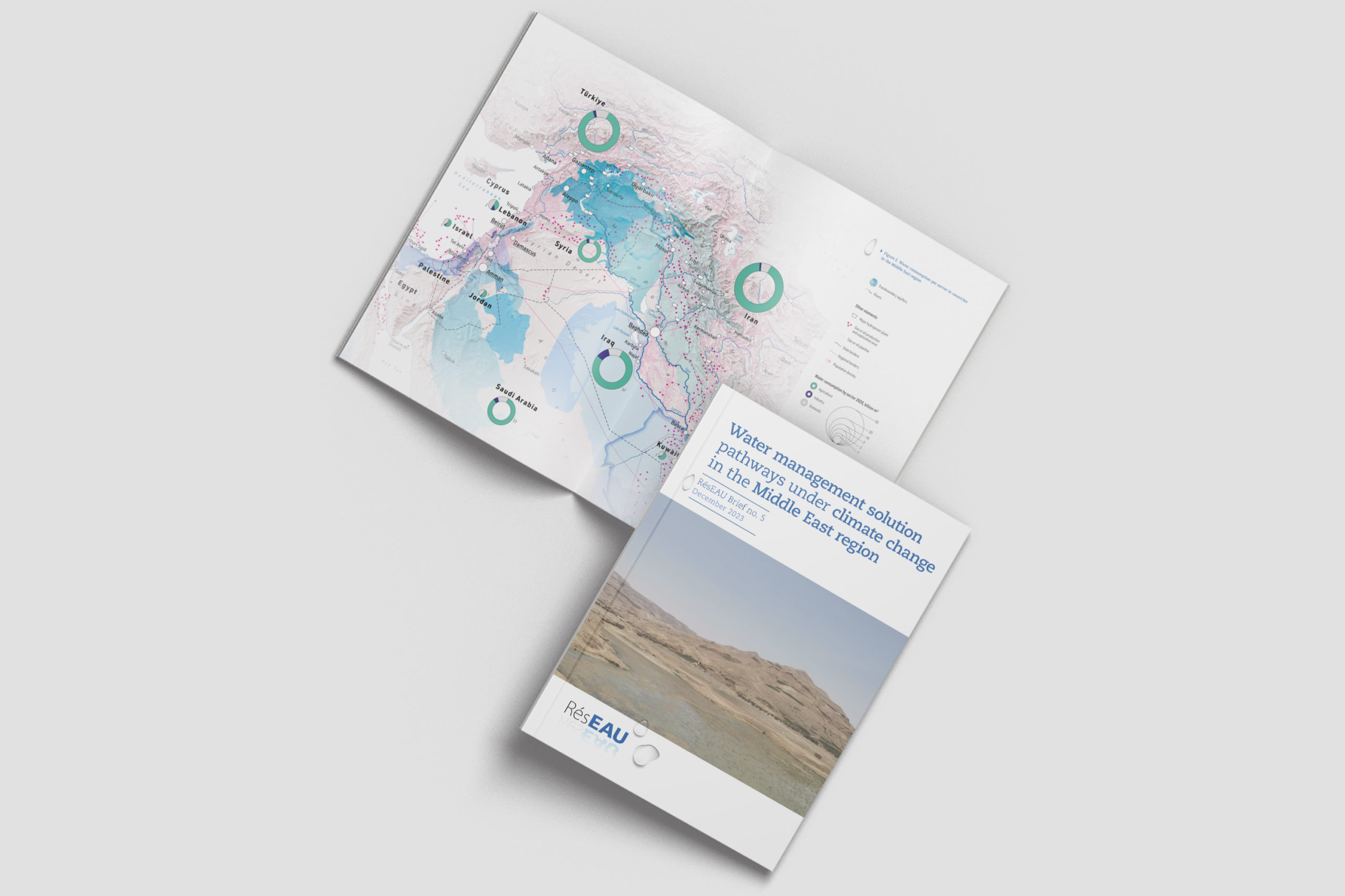 Water management solution pathways under climate change in the Middle ...