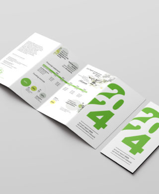 Annual Report 2024