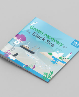 Green recovery of the Black Sea