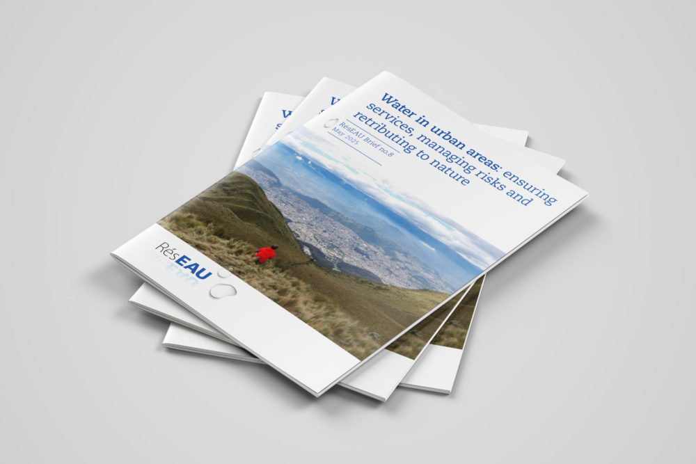 Water in urban areas: ensuring services, managing risks and retributing to nature