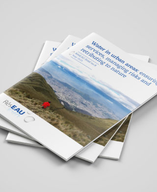 Water in urban areas: ensuring services, managing risks and retributing to nature