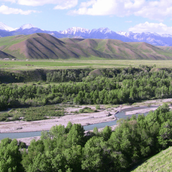 Mountains of Central Asia: Engaging civil society in conservation​