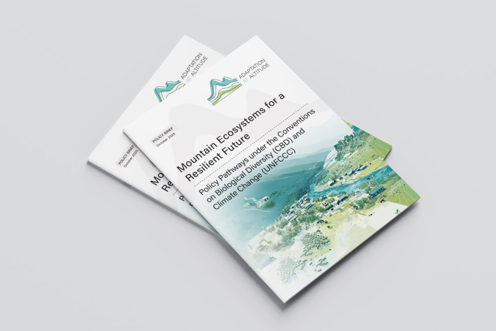 Policy Pathways under the CBD and UNFCCC