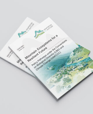 Policy Pathways under the CBD and UNFCCC