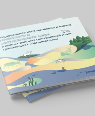 Sustainable use and conservation of flora and fauna in Central Asia regions bordering Afghanistan